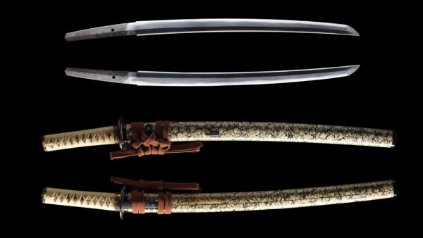 Antique Japanese Sword Wakizashi Signed by Yasutsugu Nyudo<br> NBTHK <span style="color: #ff0000;"><strong> Tokubetsu Hozon</strong> </span>Certificate - Image 13