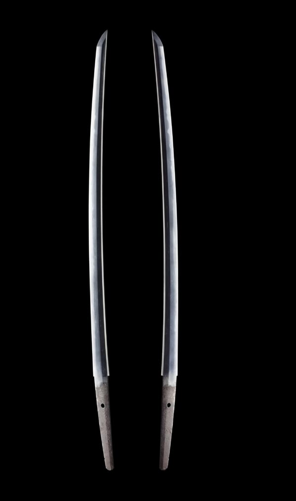 Antique Japanese Sword Katana Signed by Hitachi Daijou Minamoto No Oshige <br> NBTHK<span style="color: #ff0000;"><strong> Tokubetsu Hozon</strong> </span>Certificate - Image 7