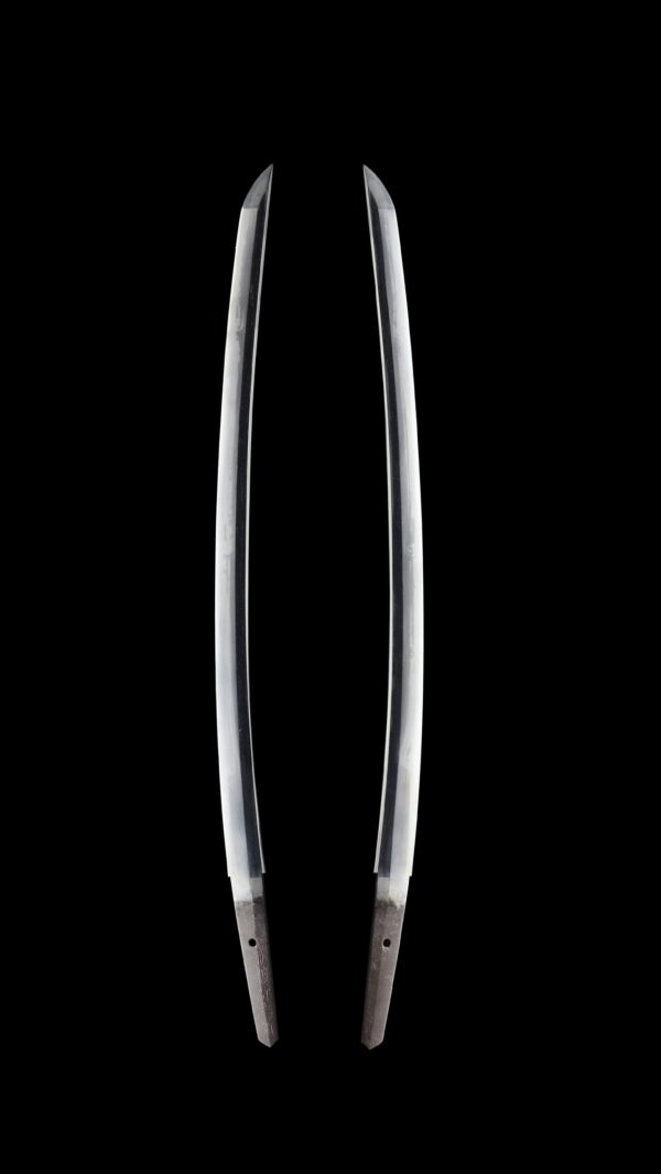 Antique Japanese Sword Wakizashi Signed by Osaka Tanba no Kami Yoshimichi <br>NBTHK <span style="color: #ff0000;"><strong> Tokubetsu Hozon</strong> </span>Certificate - Image 7