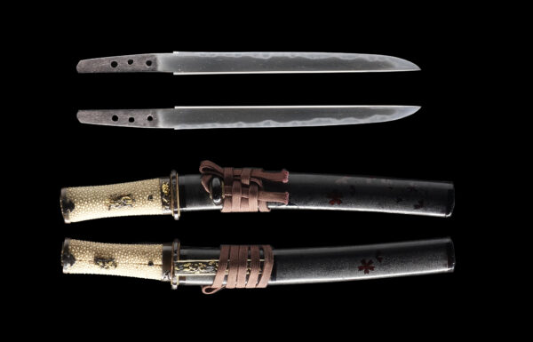 Antique Japanese Sword Tanto Signed by Kanemoto<br> NBTHK <span style="color: #ff0000;">Hozon </span>Certificate - Image 13