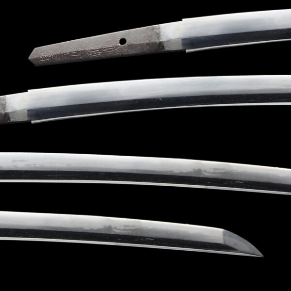 Antique Japanese Sword Wakizashi Signed by Osaka Tanba no Kami Yoshimichi <br>NBTHK <span style="color: #ff0000;"><strong> Tokubetsu Hozon</strong> </span>Certificate - Image 2