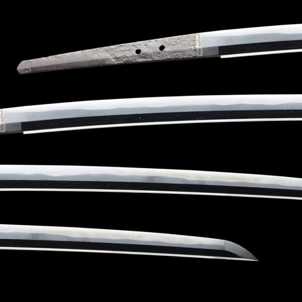 Antique Japanese Sword Katana Signed by Tadakiyo<br> NBTHK <span style="color: #ff0000;">Hozon </span>Token ＆<span style="color: #ff0000;"><strong> Tokubetsu Hozon</strong> </span> Tosogu Certificate - Image 2