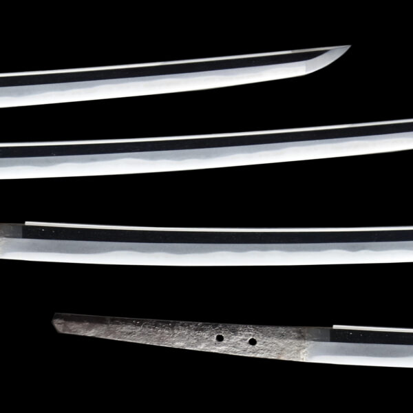 Antique Japanese Sword Katana Signed by Tadakiyo<br> NBTHK <span style="color: #ff0000;">Hozon </span>Token ＆<span style="color: #ff0000;"><strong> Tokubetsu Hozon</strong> </span> Tosogu Certificate - Image 3