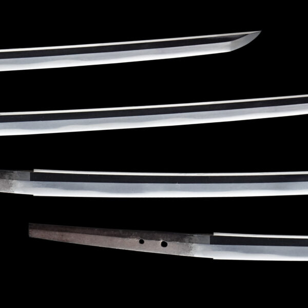 Antique Japanese Sword Katana Signed by Kunishige <br>NBTHK<span style="color: #ff0000;"><strong> Tokubetsu Hozon</strong> </span>Certificate - Image 3