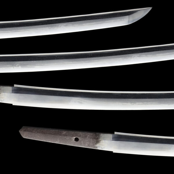 Antique Japanese Sword Wakizashi Signed by Osaka Tanba no Kami Yoshimichi <br>NBTHK <span style="color: #ff0000;"><strong> Tokubetsu Hozon</strong> </span>Certificate - Image 3