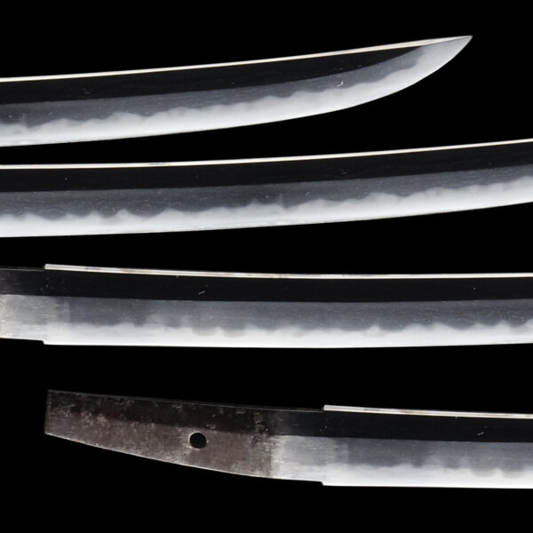 Antique Japanese Sword Wakizashi Attributed to Kanetane<br>NBTHK <span style="color: #ff0000;"> Hozon</span> Certificate - Image 3