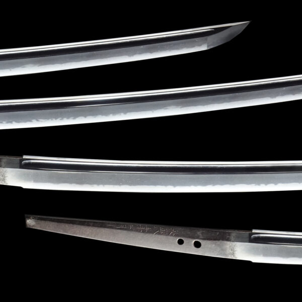 Antique Japanese Sword Katana Signed by Taira Shigetoyo<br> NBTHK <span style="color: #ff0000;">Hozon </span>Certificate - Image 3