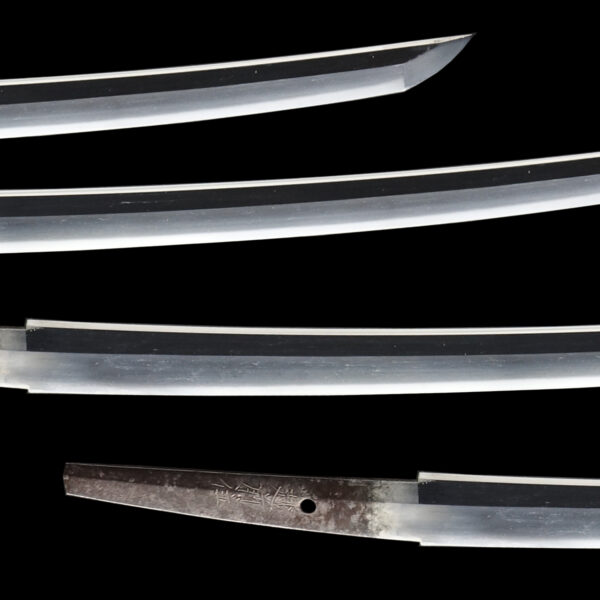 Antique Japanese Sword Wakizashi Signed by Hirotaka<br>NBTHK <span style="color: #ff0000;"><strong> Tokubetsu Hozon</strong> </span>Certificate - Image 3