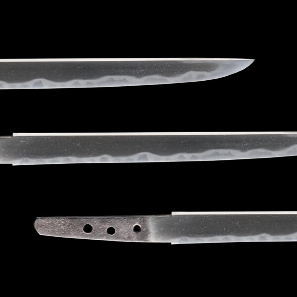 Antique Japanese Sword Tanto Signed by Kanemoto<br> NBTHK <span style="color: #ff0000;">Hozon </span>Certificate - Image 3