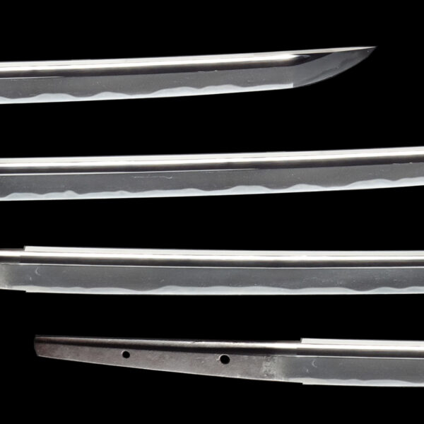 Antique Japanese Sword Katana Attributed to Den Naoe Kanetomo<br><span style="color: #000000;">NBTHK <span style="color: #5accff;"><strong>JUYO TOKEN</strong></span> Certificate</span> - Image 3