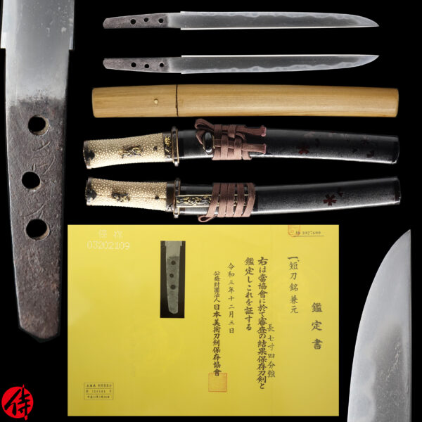 Antique Japanese Sword Tanto Signed by Kanemoto<br> NBTHK <span style="color: #ff0000;">Hozon </span>Certificate