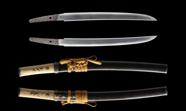 Antique Japanese Sword Tanto attributed to Shitahara Chikashige <br> NTHK Kanteisho Certificate - Image 13