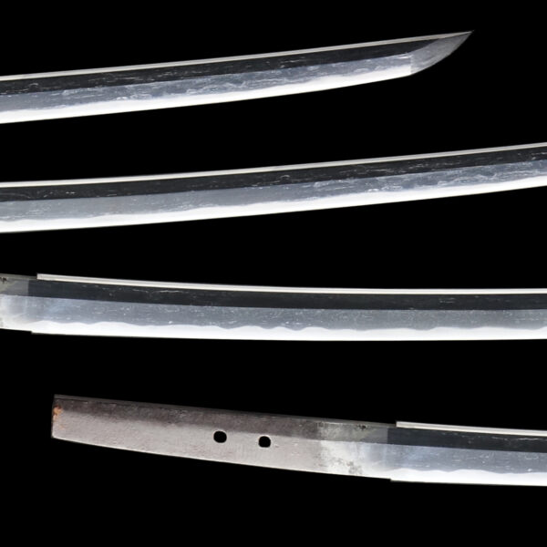 Antique Japanese Sword Katana Attributed to Mino Senjuin<br> NBTHK <span style="color: #ff0000;">Hozon </span>Certificate - Image 3