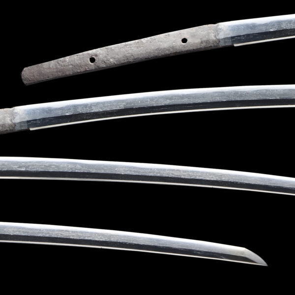 Antique Japanese Sword Tachi Attributed to Katsuie <br> NBTHK <span style="color: #ff0000;">Hozon </span>Certificate - Image 2
