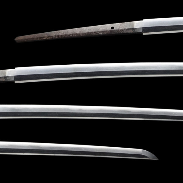 Antique Japanese Sword Katana Signed by Iga no Kami Fujiwara no Kinmichi <br> NBTHK<span style="color: #ff0000;"><strong> Tokubetsu Hozon</strong> </span>Certificate - Image 2