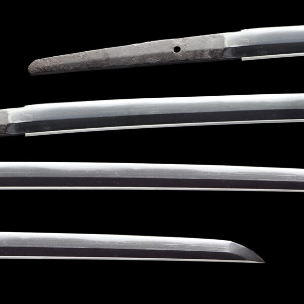 Antique Japanese Sword Katana Attributed to Tameie<br>NBTHK Tokubetsu Kichou Certificate - Image 2