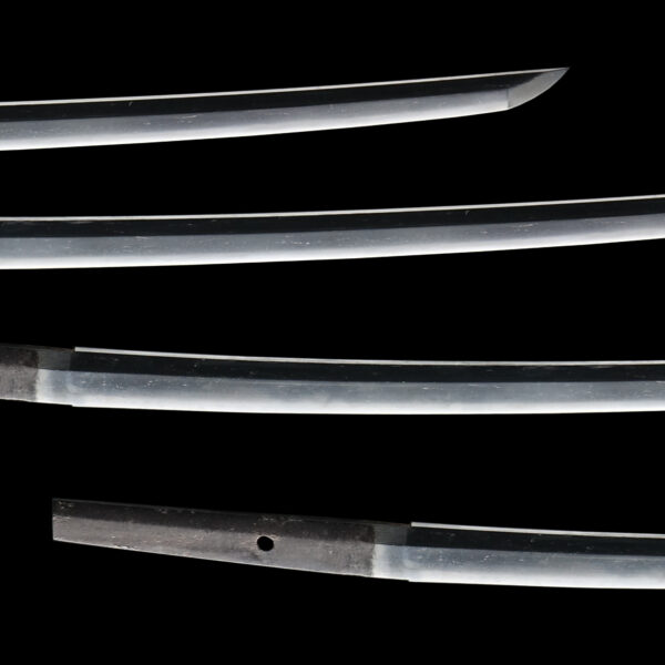 Antique Japanese Sword Wakizashi attributed to Joushu Sueyuki <br> NBTHK <span style="color: #ff0000;"><strong> Tokubetsu Hozon</strong> </span>Certificate - Image 3
