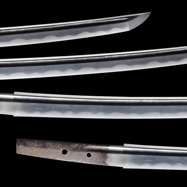 Antique Japanese Sword Wakizashi attributed to Kanenori <br>NBTHK <span style="color: #ff0000;">Hozon</span> Certificate - Image 3