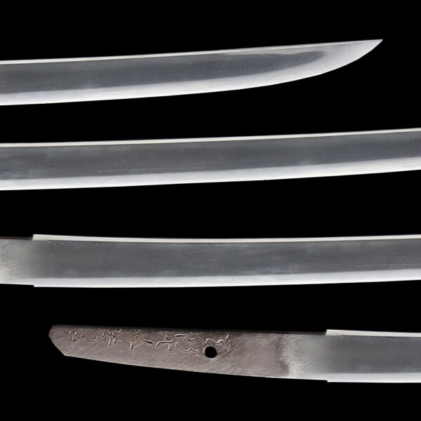 Antique Japanese Sword Wakizashi Signed by Ujishige<br> NBTHK <span style="color: #ff0000;"><strong> Tokubetsu Hozon</strong> </span>Certificate - Image 3
