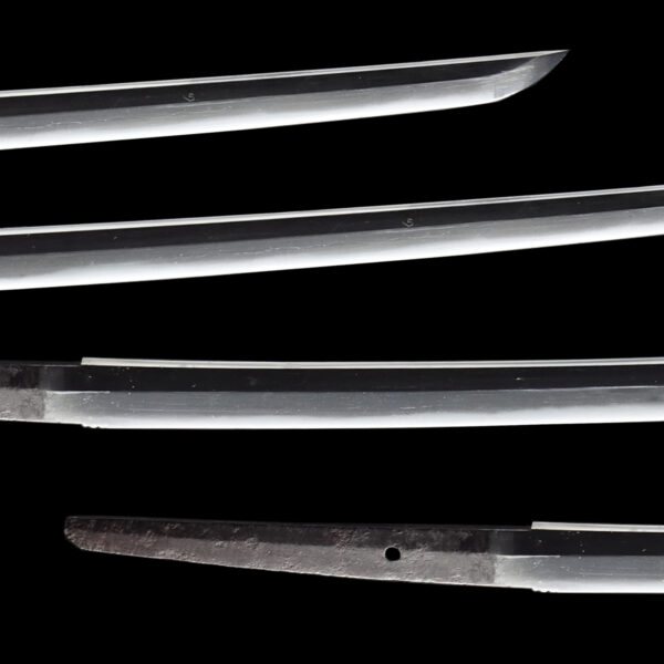 Antique Japanese Sword Katana Attributed to Tameie<br>NBTHK Tokubetsu Kichou Certificate - Image 3