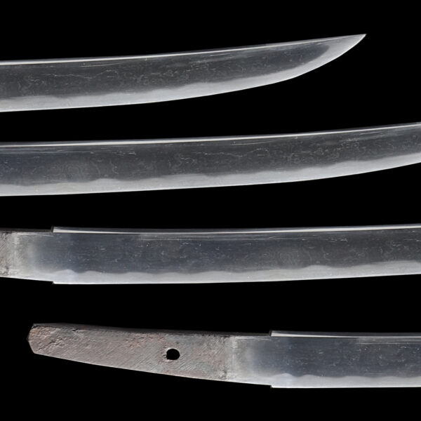 Antique Japanese Sword Wakizashi Attributed to Kanemaki<br>NTHK Kanteisho - Image 3