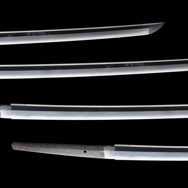 Antique Japanese Sword Katana Signed by Kunimasa<br> NBTHK Tokubetsu Kicho Certificate - Image 3