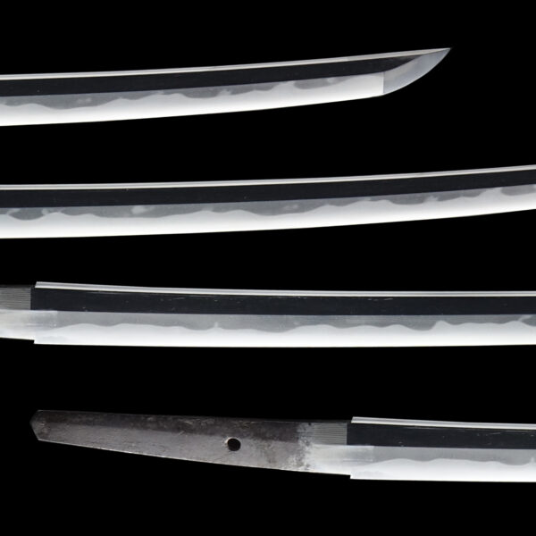 Antique Japanese Sword Wakizashi Attributed to Hoki no Kami Nobutaka<br>NBTHK <span style="color: #ff0000;"> Hozon</span> Certificate - Image 3