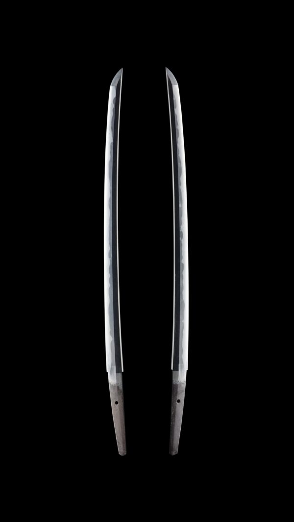 Antique Japanese Sword Wakizashi Attributed to Hoki no Kami Nobutaka<br>NBTHK <span style="color: #ff0000;"> Hozon</span> Certificate - Image 7