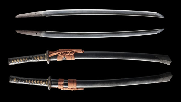 Antique Japanese Sword Wakizashi Signed by Tadayuki<br>NBTHK <span style="color: #ff0000;">Hozon</span> Certificate - Image 13