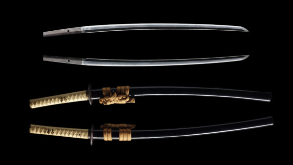 Antique Japanese Sword Wakizashi attributed to Joushu Sueyuki <br> NBTHK <span style="color: #ff0000;"><strong> Tokubetsu Hozon</strong> </span>Certificate - Image 13