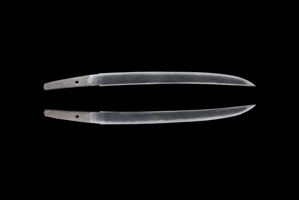 Antique Japanese Sword Wakizashi Attributed to Kanemaki<br>NTHK Kanteisho - Image 12