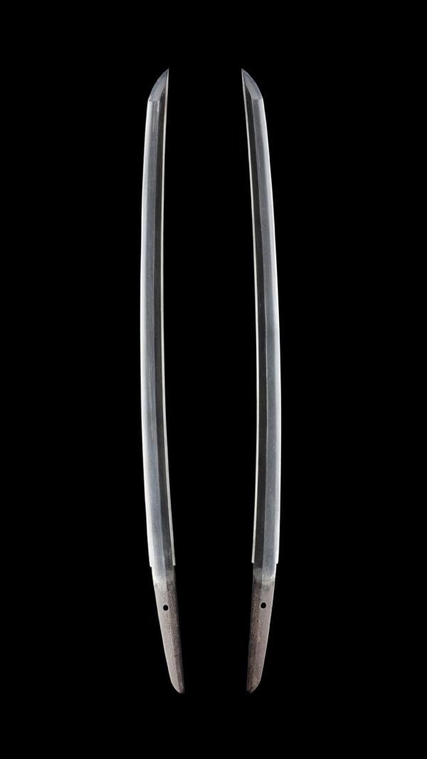 Antique Japanese Sword Wakizashi Signed by Tadayuki<br>NBTHK <span style="color: #ff0000;">Hozon</span> Certificate - Image 7
