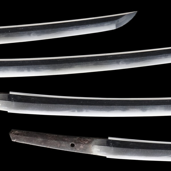 Antique Japanese Sword Wakizashi Signed by Tanba no Kami Yoshimichi <br>NBTHK <span style="color: #ff0000;"><strong> Tokubetsu Hozon</strong> </span>Certificate - Image 3