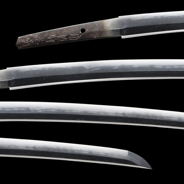 Antique Japanese Sword Wakizashi Signed by Tanba no Kami Yoshimichi <br>NBTHK <span style="color: #ff0000;"><strong> Tokubetsu Hozon</strong> </span>Certificate - Image 2