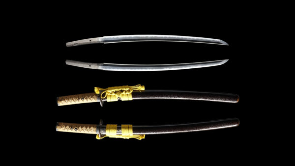 Antique Japanese Sword Daisho Signed by Hosokawa Masayoshi NBTHK<span style="color: #ff0000;"><strong> Tokubetsu Hozon</strong> </span>Token and Tosogu Certificate - Image 25