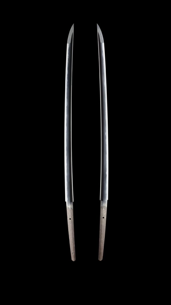 Antique Japanese Sword Katana Signed by Gassan Sadakazu<br>NBTHK<span style="color: #ff0000;"><strong> Tokubetsu Hozon</strong> </span>Certificate - Image 7