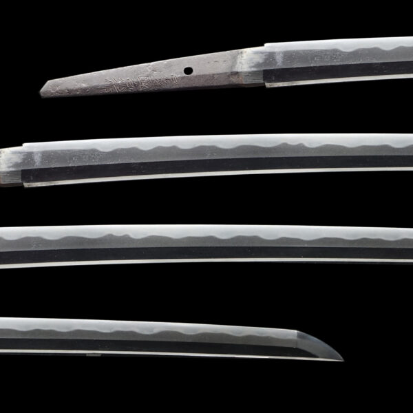 Antique Japanese Sword Wakizashi Signed by Uda Kunimune <br>NBTHK <span style="color: #ff0000;"><strong>Tokubetsu Hozon</strong> </span>Certificate - Image 2