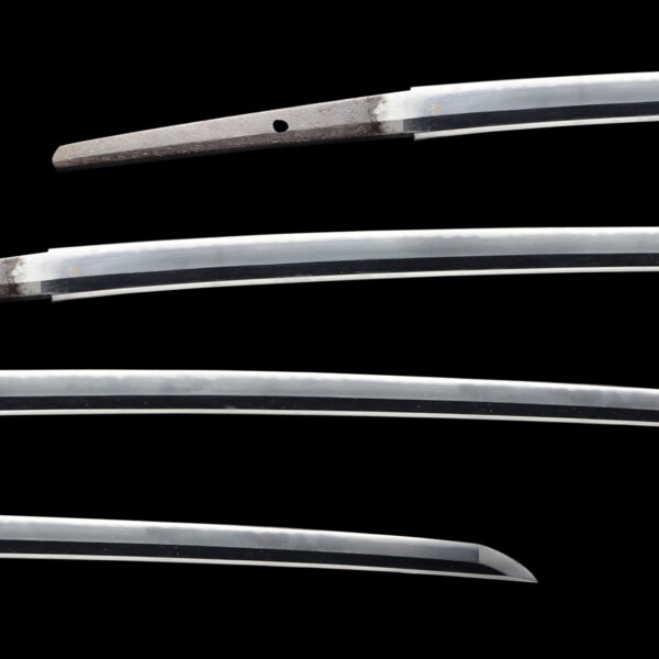Antique Japanese Sword Katana Attributed to the first-gen Kanemoto<br> NTHK Kanteisho Certificate for the blade and Koshirae - Image 2