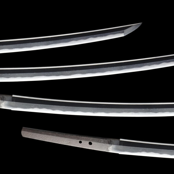 Antique Japanese Sword Katana Signed by Sukesada <br> NBTHK Tokubetsu Kicho Certificate - Image 3