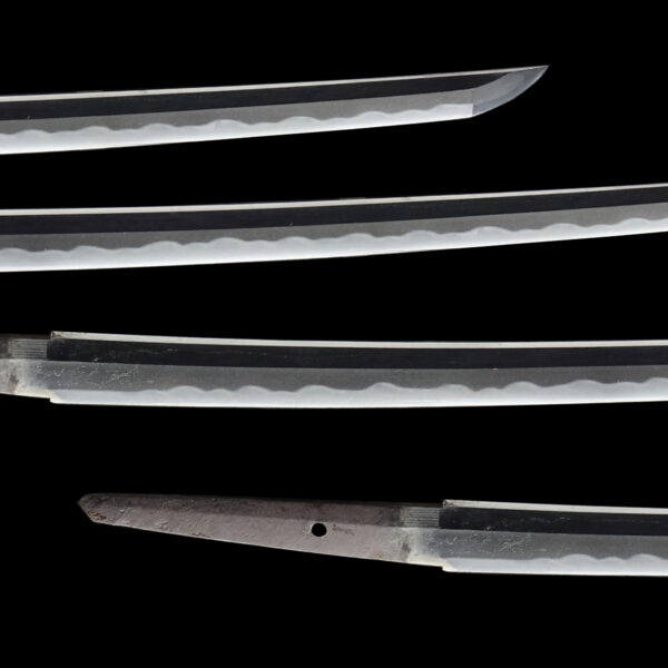 Antique Japanese Sword Wakizashi Signed by Uda Kunimune <br>NBTHK <span style="color: #ff0000;"><strong>Tokubetsu Hozon</strong> </span>Certificate - Image 3