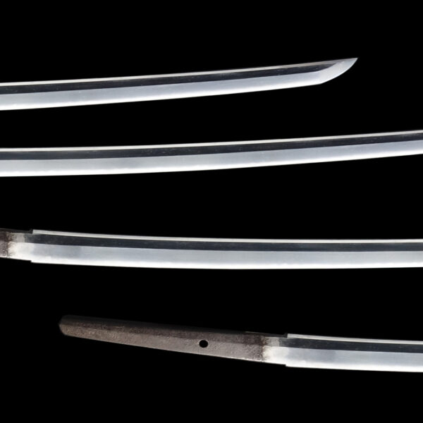 Antique Japanese Sword Katana Attributed to the first-gen Kanemoto<br> NTHK Kanteisho Certificate for the blade and Koshirae - Image 3
