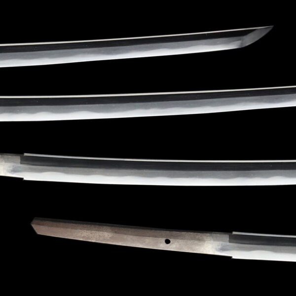 Modern Authentic Japanese Sword Katana<br> Attributed to Tanioka Yasutsugu<br> NTHK Kanteisho Certificate - Image 3