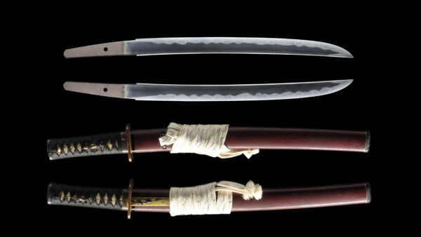 Antique Japanese Sword Wakizashi Signed by Chikanori<br> NBTHK <span style="color: #ff0000;"><strong> Tokubetsu Hozon</strong> </span>Certificate - Image 13