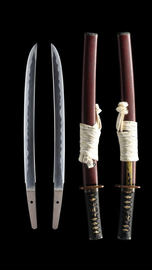 Antique Japanese Sword Wakizashi Signed by Chikanori<br> NBTHK <span style="color: #ff0000;"><strong> Tokubetsu Hozon</strong> </span>Certificate - Image 8