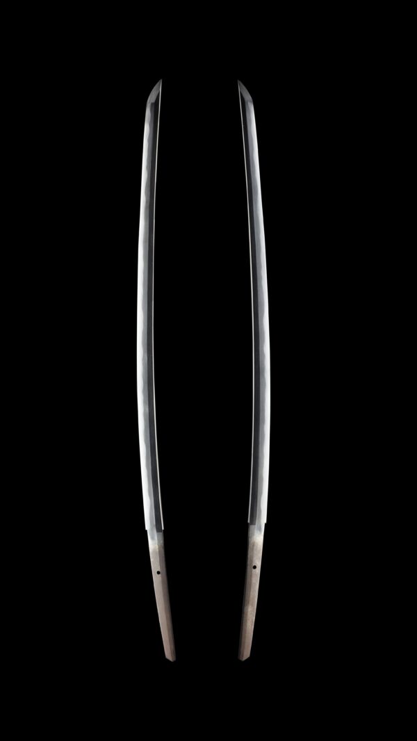 Modern Authentic Japanese Sword Katana<br> Attributed to Tanioka Yasutsugu<br> NTHK Kanteisho Certificate - Image 7