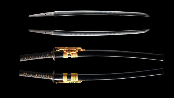 Antique Japanese Sword Wakizashi Signed by Uda Kunimune <br>NBTHK <span style="color: #ff0000;"><strong>Tokubetsu Hozon</strong> </span>Certificate - Image 13