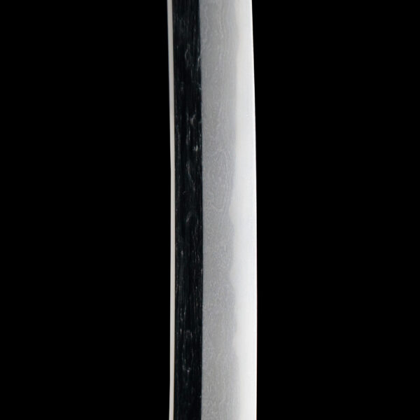 Antique Japanese Sword Katana Signed by Kanetake<br>NBTHK<span style="color: #ff0000;"> Hozon </span>Certificate - Image 10