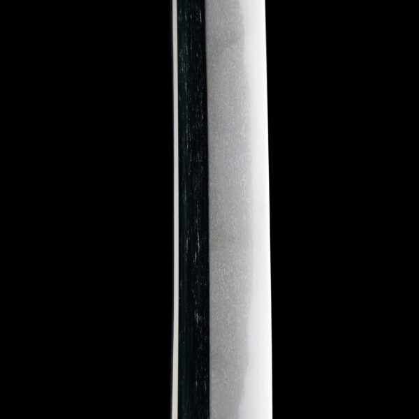 Antique Japanese Sword Katana Signed by Kanetake<br>NBTHK<span style="color: #ff0000;"> Hozon </span>Certificate - Image 11