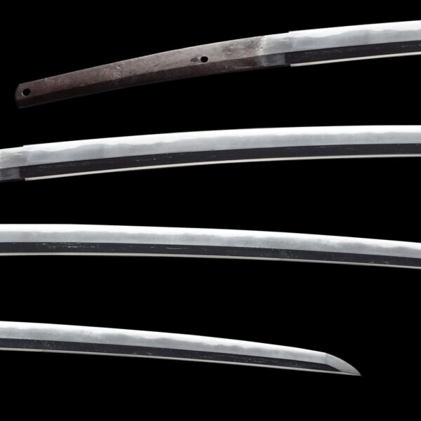 Antique Japanese Sword Katana Attributed to Den Yoshioka Ichimonji <br>NBTHK<span style="color: #ff0000;"><strong> Tokubetsu Hozon</strong> </span>Certificate - Image 2