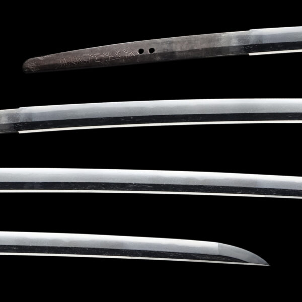 Antique Japanese Sword Katana Signed by Kanetake<br>NBTHK<span style="color: #ff0000;"> Hozon </span>Certificate - Image 2